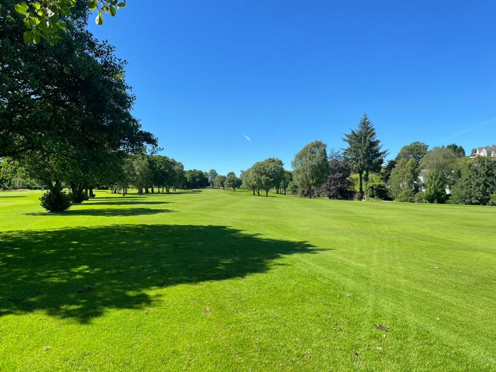 Golf Course Green with clear blue sky
