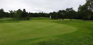 Gold course, green and flag 