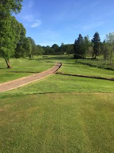 Sunny day on the course